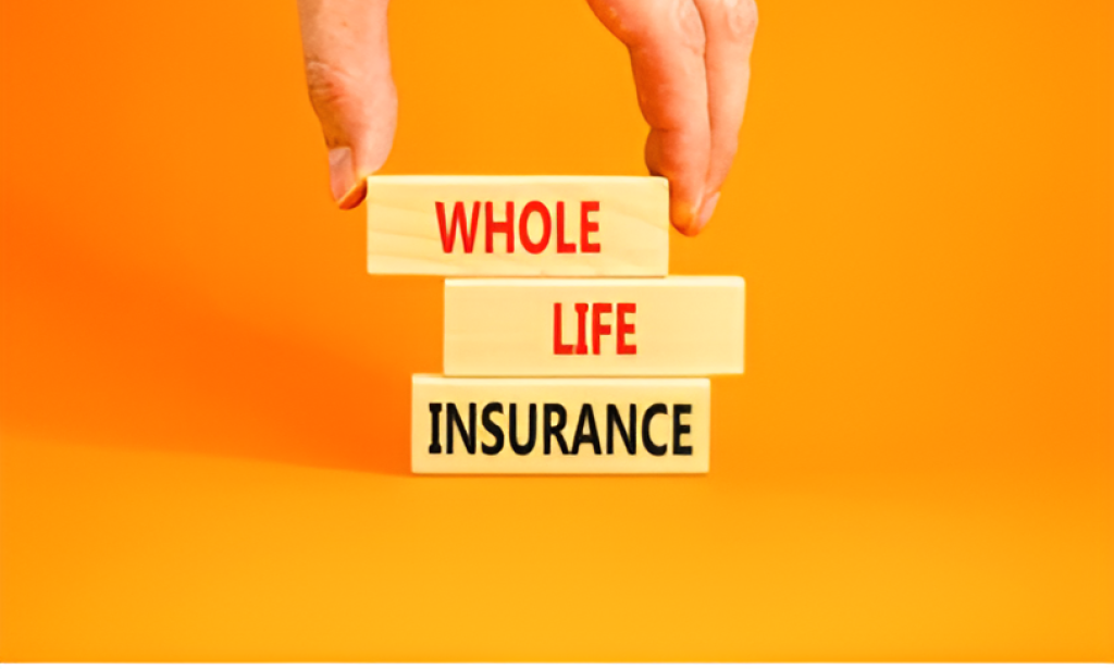 A Complete Guide To Whole Life Insurance In the USA