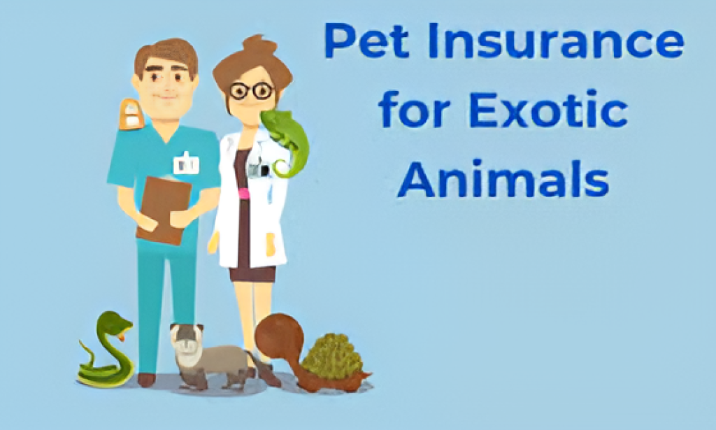 Extraordinary Pet Protections In The US: What You Require To Know
