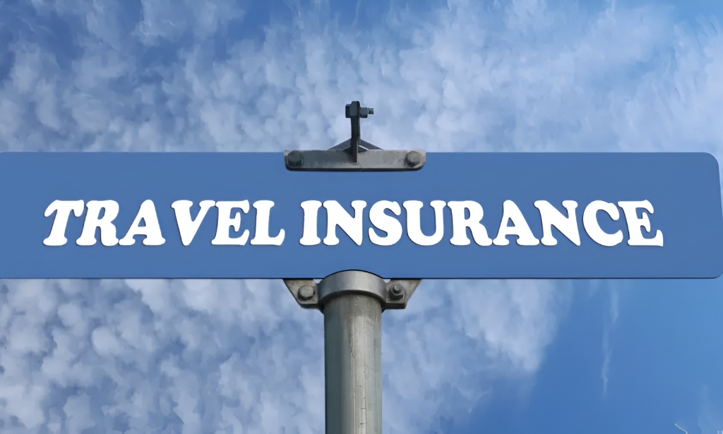 Domestic Travel Insurance For Wildfire, Hurricane, And Extreme Weather States
