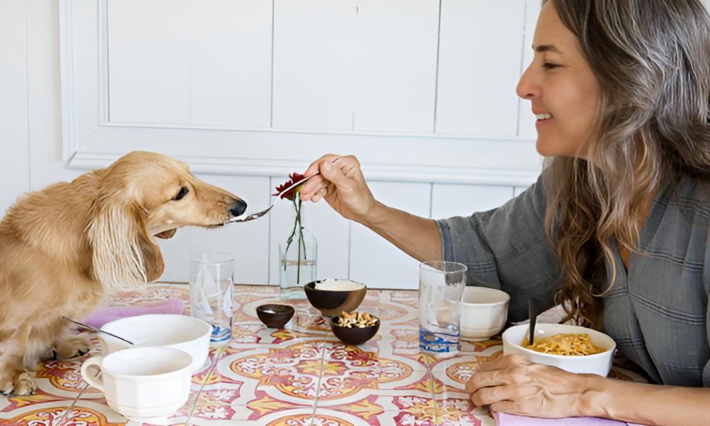 Humanization of Pets: How It's Shaping The Pet Insurance Market In 2025